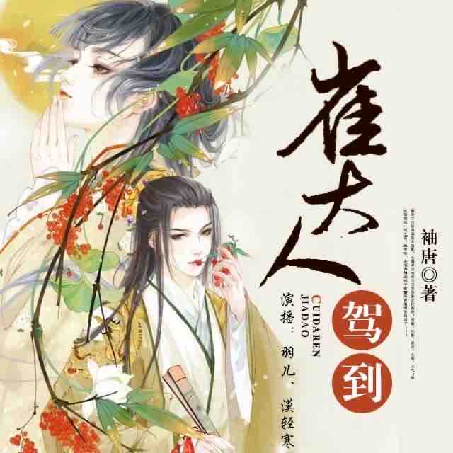 《《崔大人驾到》羽儿FY双播有声小说》有声小说打包下载：袖唐