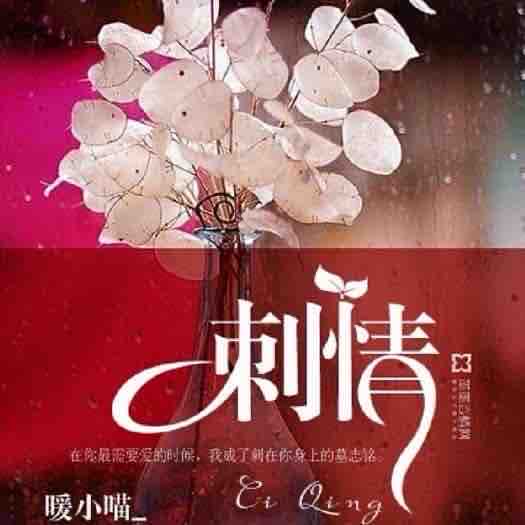 《《刺情》掷地有声子沐&今宵&雪月多人播讲有声小说》有声小说打包下载：暖小喵