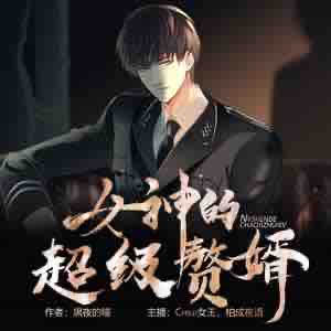 《《女神的超级赘婿》卖故事的小石头多人播讲有声小说》MP3打包下载-赘婿,故事,林阳,小说,小石