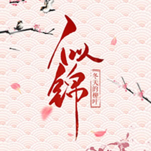 《《似锦》羽小白&百里屠屠男女双播有声小说》MP3打包下载-屠屠,小说,双播,主播,似锦