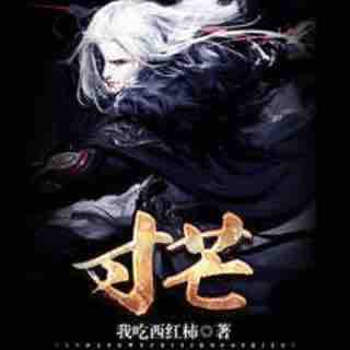 《《寸芒》柴少鸿播讲有声小说》MP3打包下载-小说,主播,迷人,寸芒,讲有