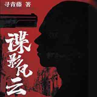 《《谍影风云》晨诵无声播讲有声小说》有声小说打包下载：寻青藤