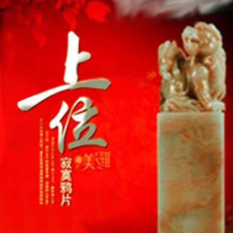 《《上位》妄语播讲有声小说》有声小说打包下载：寂寞一刀