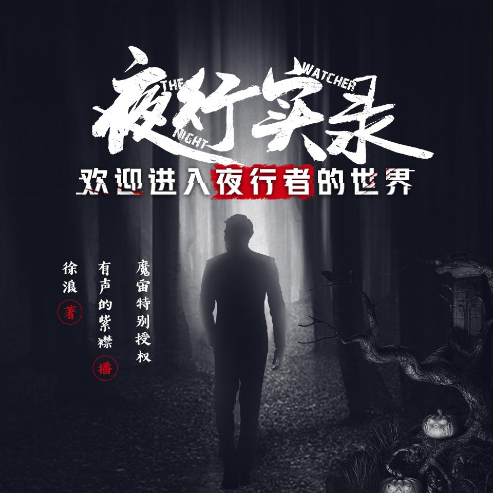 《《夜行实录》魔宙&有声的紫襟精品男女双播有声剧》MP3打包下载-魔宙,徐浪,紫襟,夜行,记录