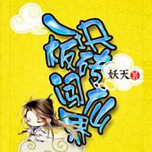 《《一块板砖闯仙界》牛大宝播讲有声小说》完结版MP3有声有声小说打包下载-作者：妖天