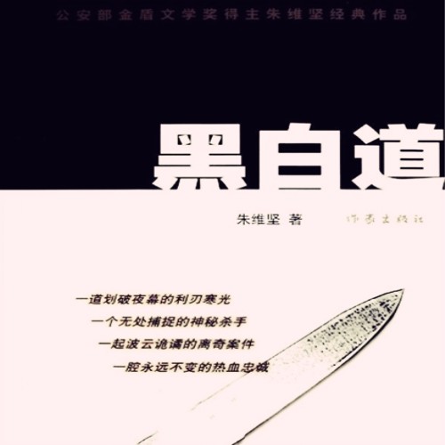 《《黑白道：反腐打黑》迷聲演播》有声小说打包下载：朱维坚