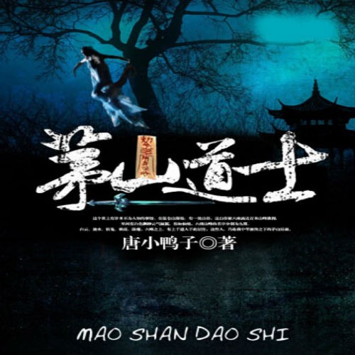 《《茅山道士》妖女时间忽悠台长播讲》有声小说打包下载：唐小鸭子
